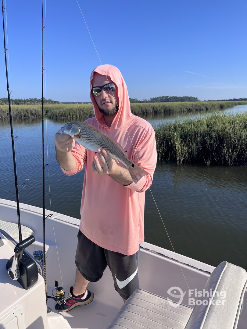 Jacksonville Report Photo 0