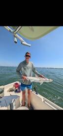 Lots of sharks!