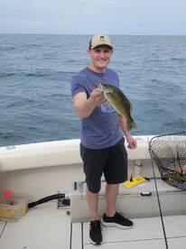St. Clair Shores Report Photo 2