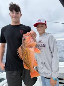 Oceanside Report Photo 2