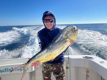 The Marlin are here....