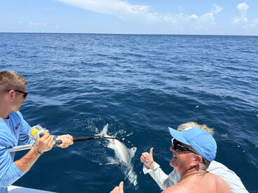 Miami Beach Report Photo 1