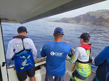 Machico Report Photo 2