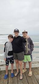 San Diego Report Photo 1