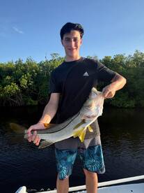 Punta Gorda Report Photo 2