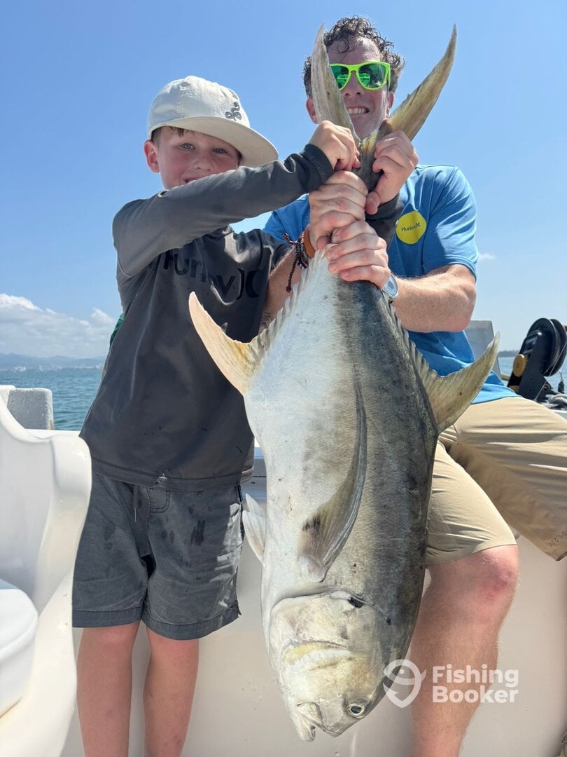 Puerto Vallarta Report Photo 0