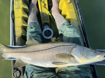 Indian River Report Photo 2