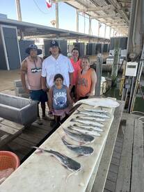 Inshore fishing has been great  
