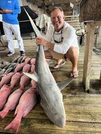 Snapper/reds/shark day for this crew