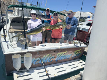 Cabo San Lucas Report Photo 1
