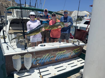 Cabo San Lucas Report Photo 2