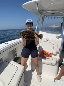 Middletown Township Report Photo 1