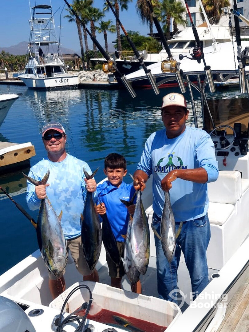 San Jose del Cabo Report Photo 0