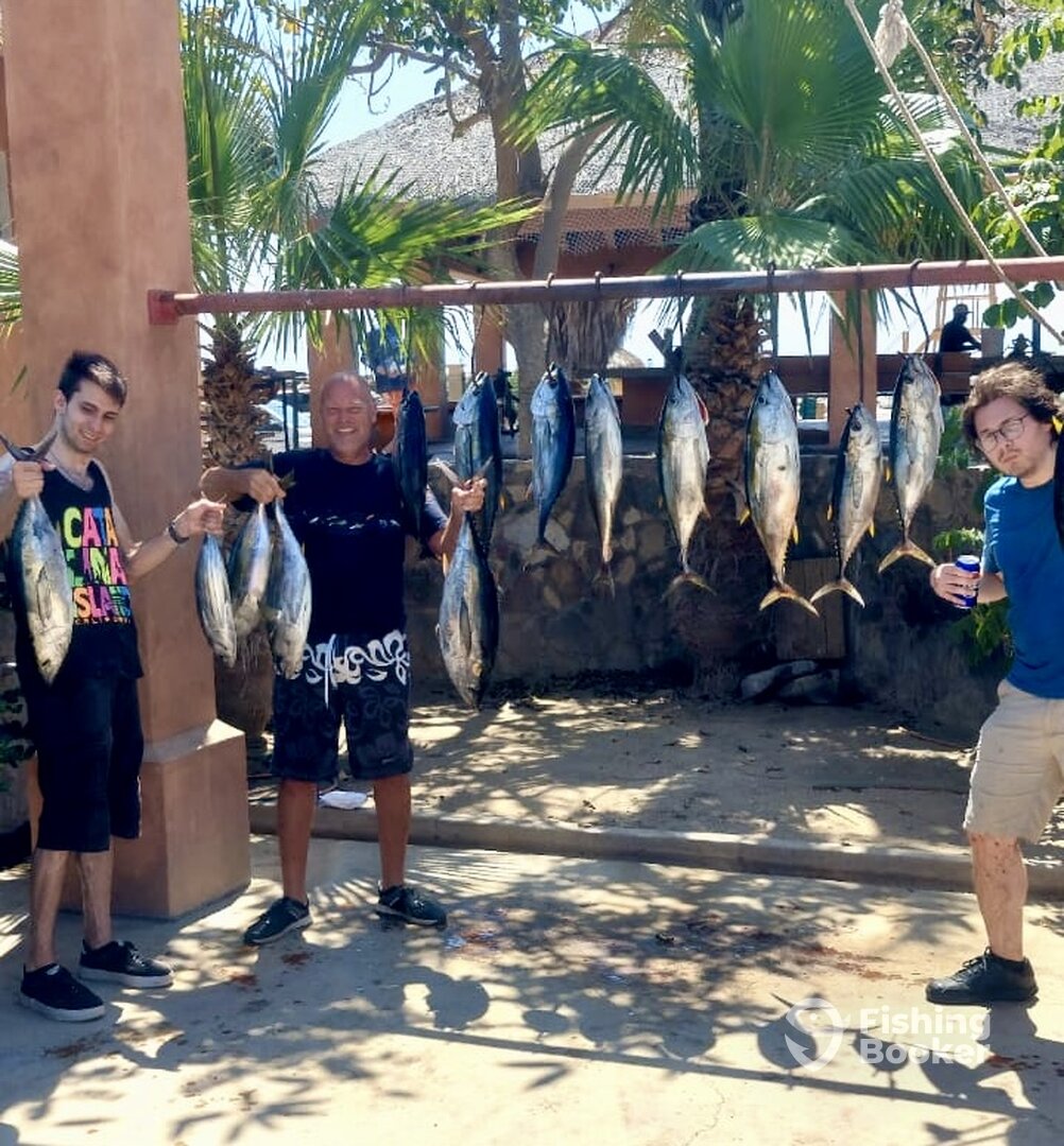 San Jose del Cabo Report Photo 0