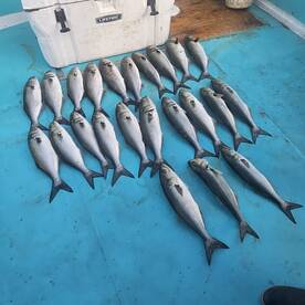 Chesapeake Beach Report Photo 1