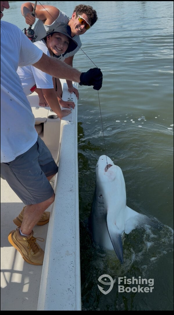 New Smyrna Beach Report Photo 0