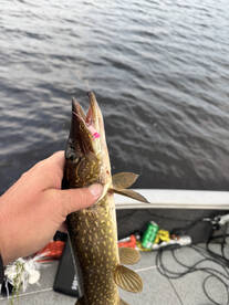 Fun afternoon on the water with Billy