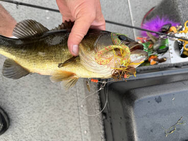 Rhinelander Report Photo 1