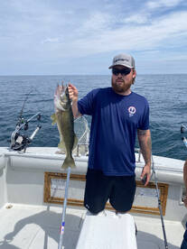 Limit Catches just keep coming