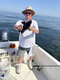 Caught a ton of these along with good fl
