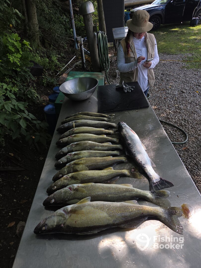 Vermilion Report Photo 0