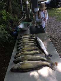 Vermilion Report Photo 2