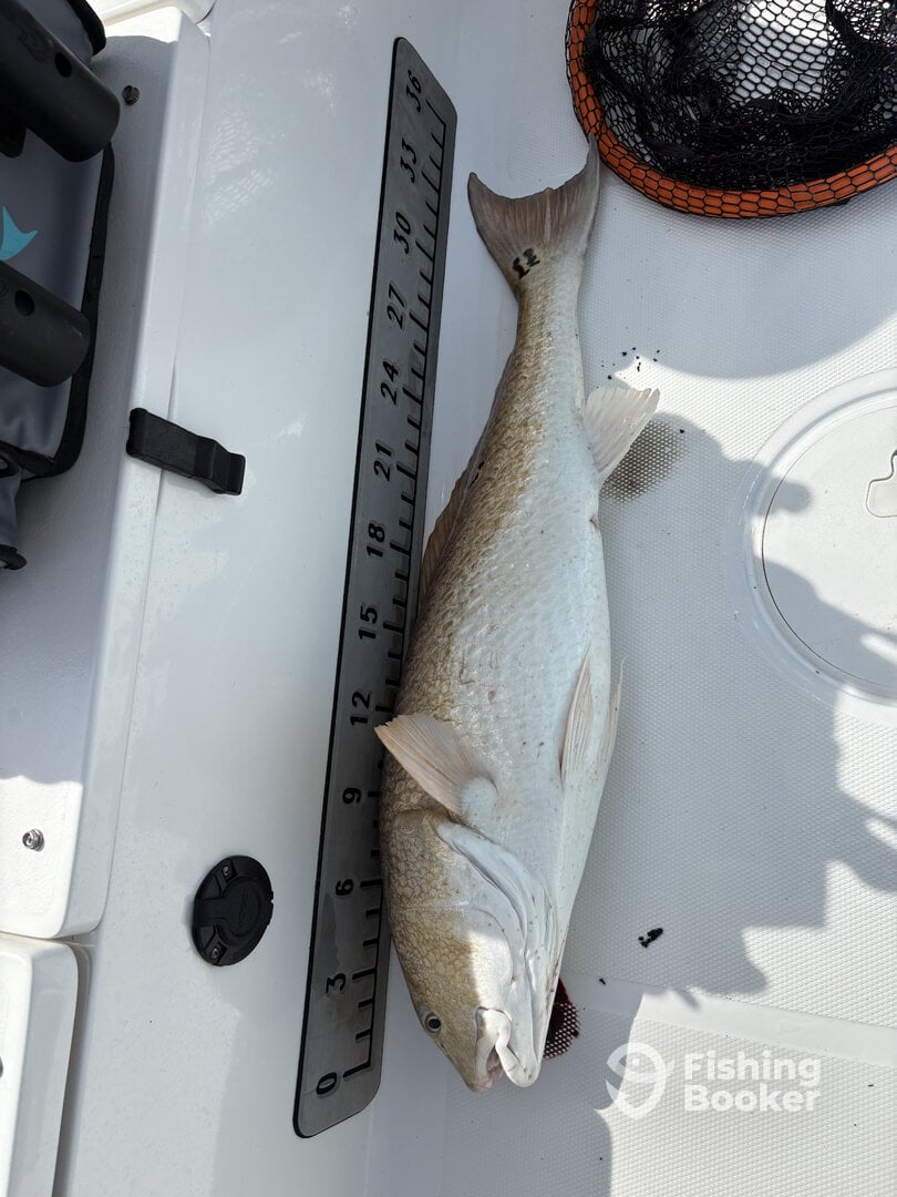 Trinity Bay Report Photo 0