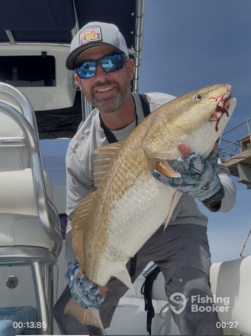San Leon Report Photo 0