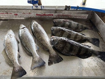Trinity Bay Report Photo 1