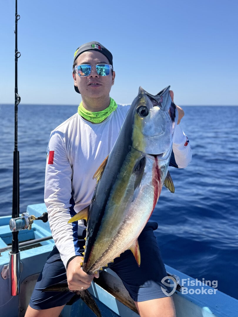 San Jose del Cabo Report Photo 0