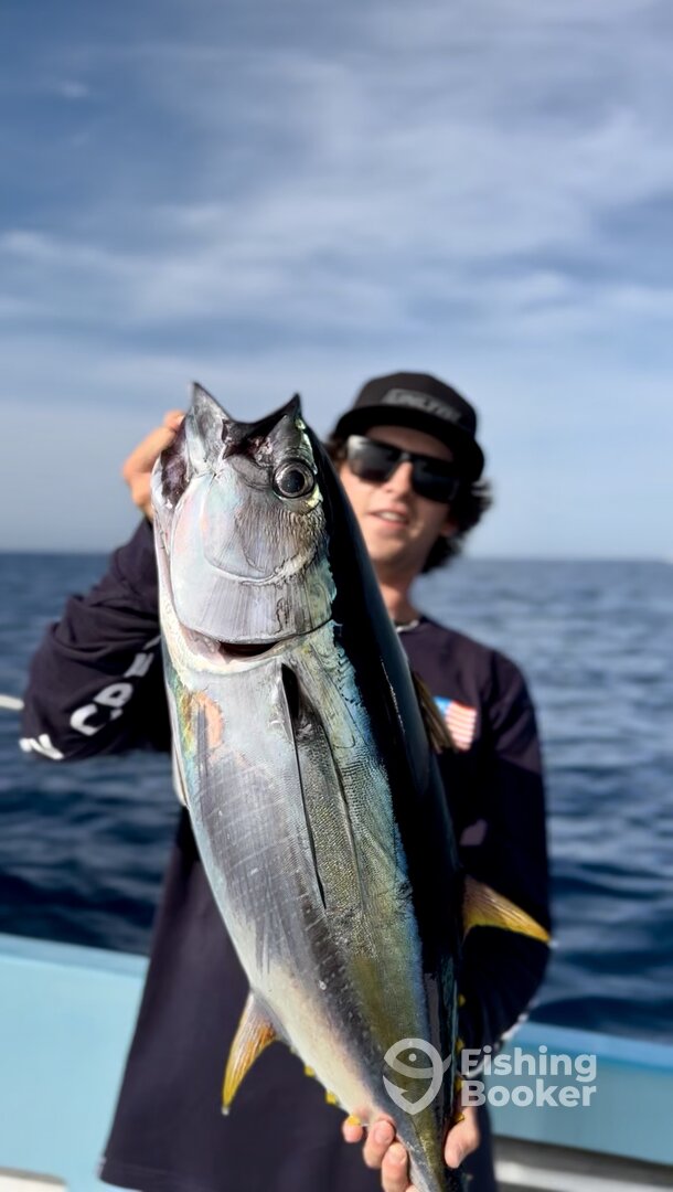 San Jose del Cabo Report Photo 0