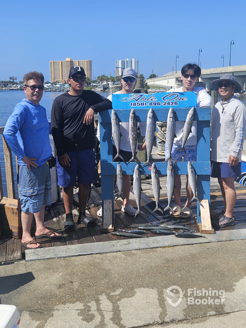 Panama City Beach Report Photo 0