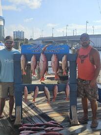 Snapper limit this Afternoon  !