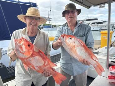 Port Douglas Report Photo 2