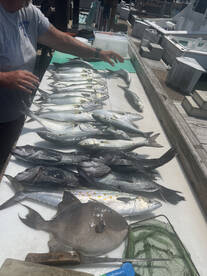 Tons of action on 6hr trip