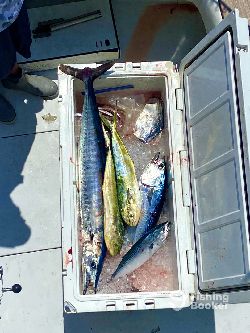 Pompano Beach Report Photo 0