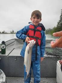 Palmer Report Photo 1