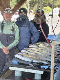 Lane County Report Photo 3