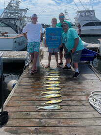 Dolphin mahi 
