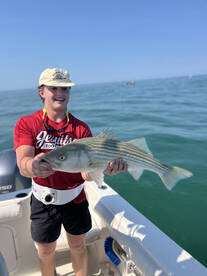 Dennis Report Photo 2