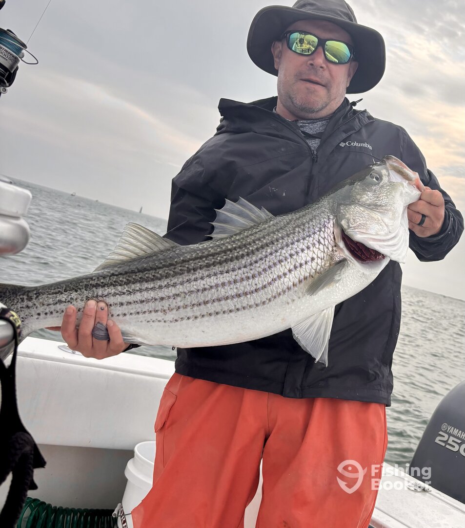 Scituate Report Photo 0