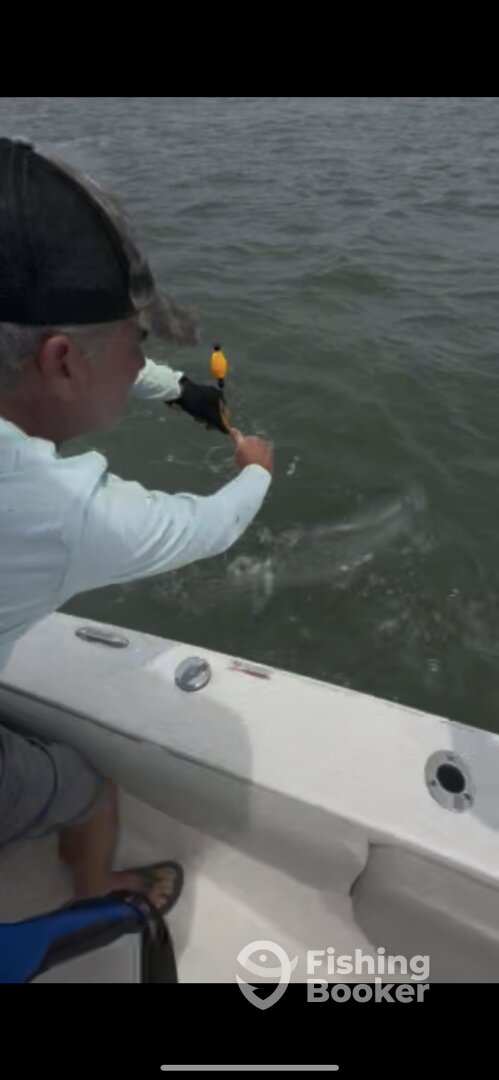 Ashley River Report Photo 0