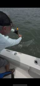 Cooper River Report Photo 1