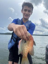 Table Rock Lake Report Photo 1