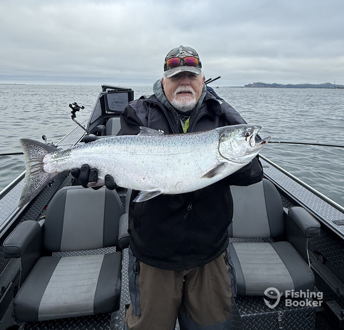 Chinook Report Photo 0