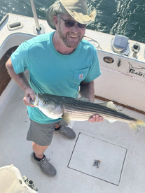 Striped bass on the bite !!