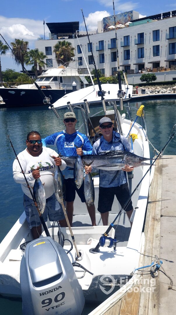 San Jose del Cabo Report Photo 0