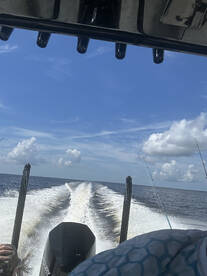 Punta Gorda Report Photo 2