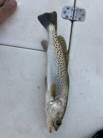 Nice day with a great family