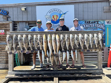 143lbs!!!! The time is now. LETS GO CATC